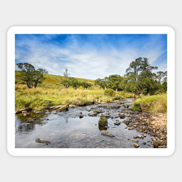 Linn Burn - Hexhamshire Sticker by Reg-K-Atkinson